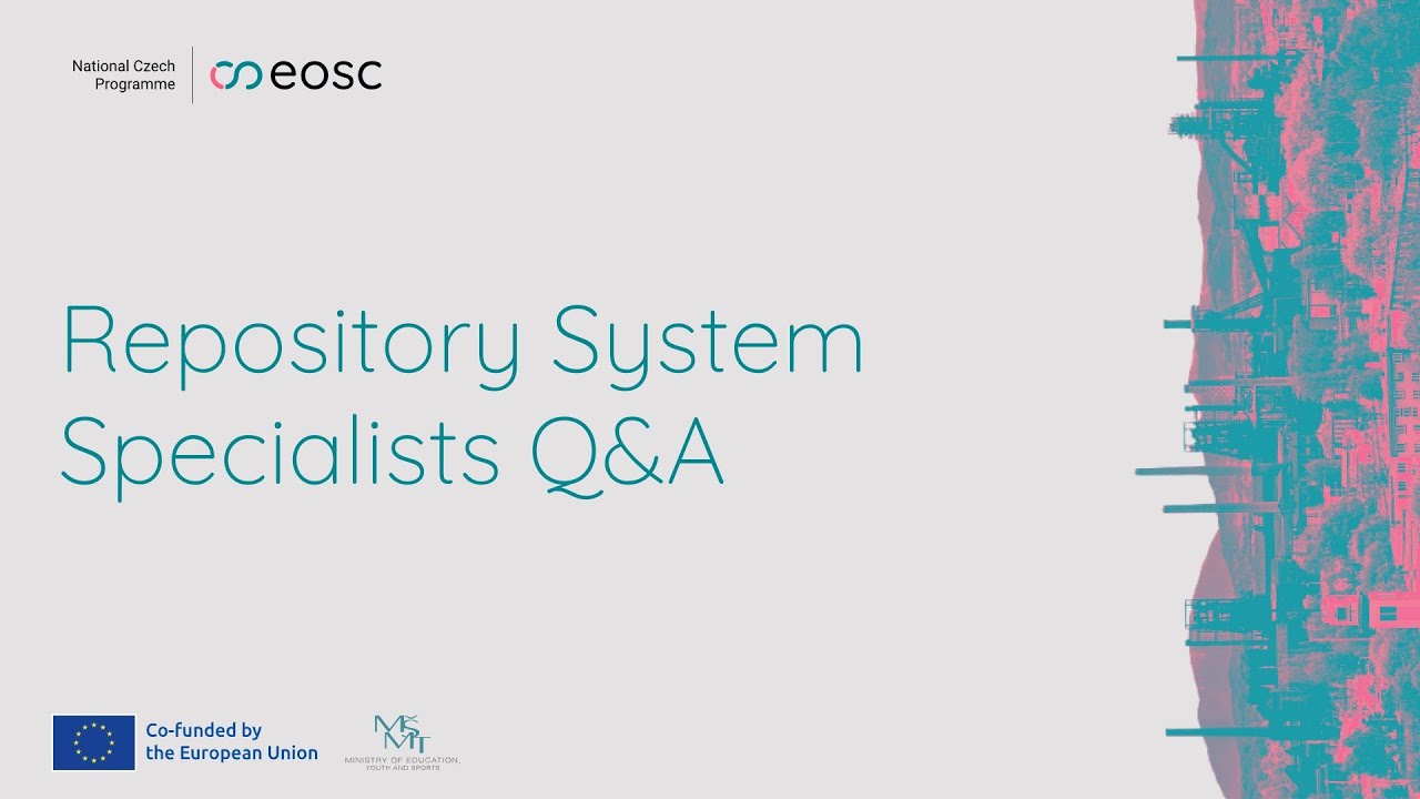Repository System Specialists Q&A
