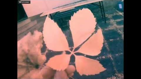 plants & machines checking on plant health - ndvi imaging