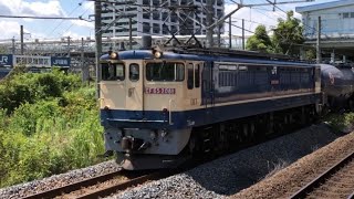 新鶴見機関区のEF65-2081号機。