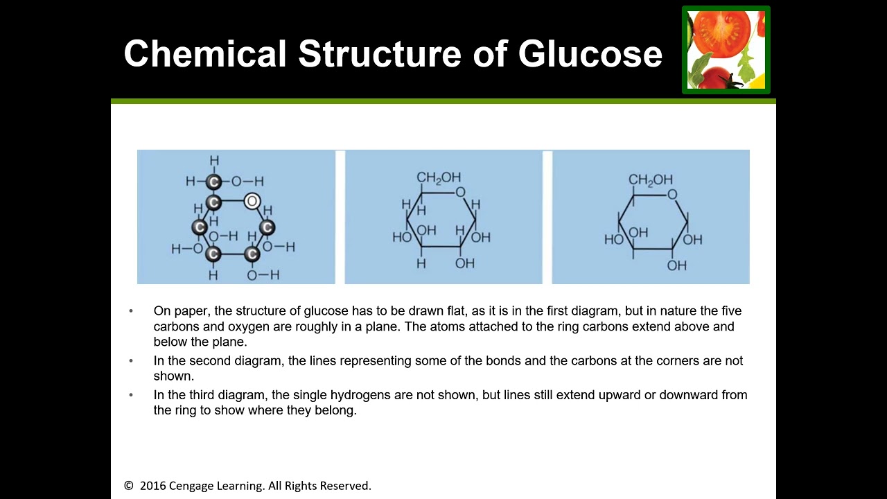 NUTR1 Chapter 4 15thed video