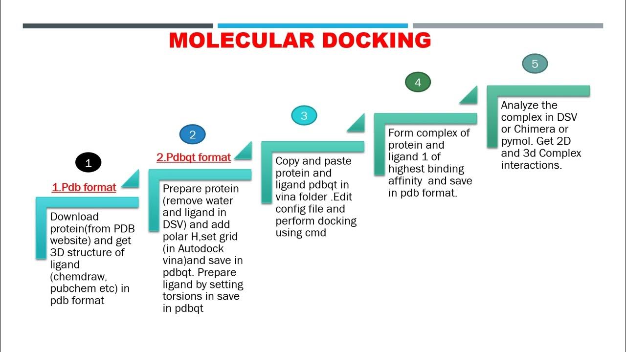 molecular-docking-with-autodock-vina-a-step-by-step-tutorial-for