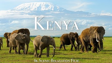 Kenya & Masai Mara 4K - Scenic Wildlife Film With African Music