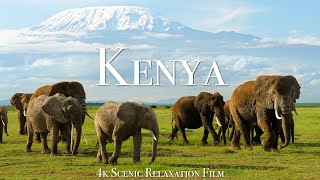 Kenya & Masai Mara 4K – Scenic Wildlife Film With African Music