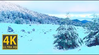 Nature Walk Snowy Heights 4K (With Ambient Nature Sounds And Music)