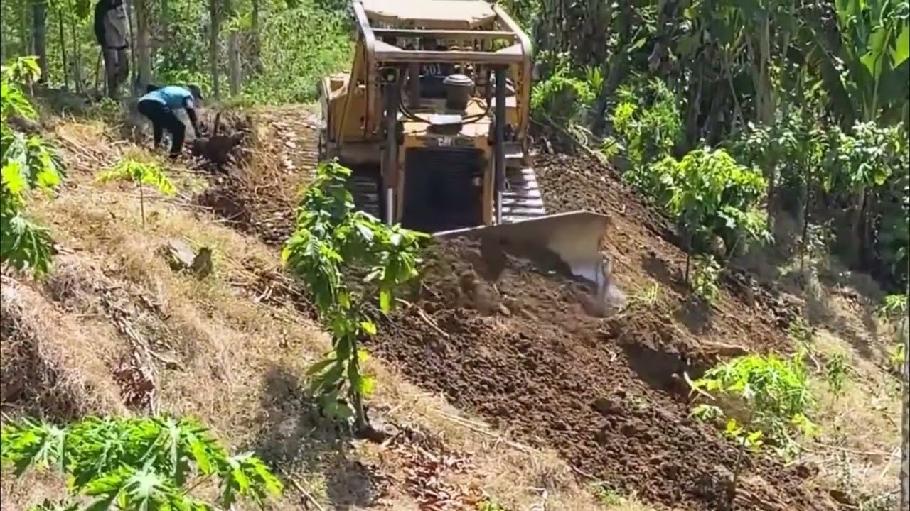 Wonderful Skilled A Massive Bulldozer Building Mountain Cliffside Road ...