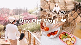 【Family Vlog】春休みが始まりました🌸英語スクールのこと｜お弁当作り