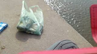 dique los quirogas y laguna los tiripo Santiago del estero #santiagodelestero #pesca #aventura