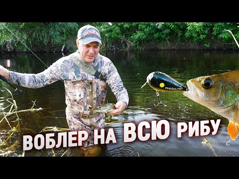 Спннг на малй рчц. Унверсальний Воблер