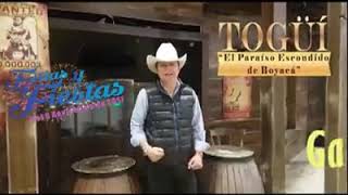Ferias y fiestas en togüi-boyaca