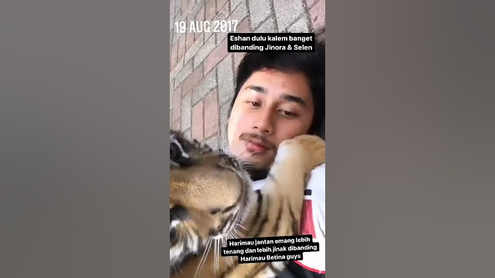 Eshan Dulu Pas Kecil Lucu Banget Dan Kalem Gak Kayak Jinora Apalagi Selen Sering Petakilan & Gigit²