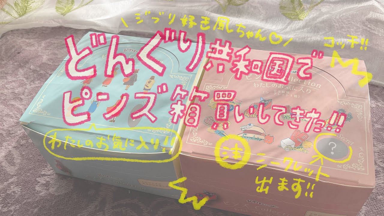 ジブリ】どんぐり共和国でピンズコレクション箱買いしてきたーー 