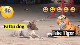 Fake Tiger Prank Dog || Funny Video ||TRY NOT TO LAUGH CHALLENGE 2020 || Prank video| Fun Prank 4 u