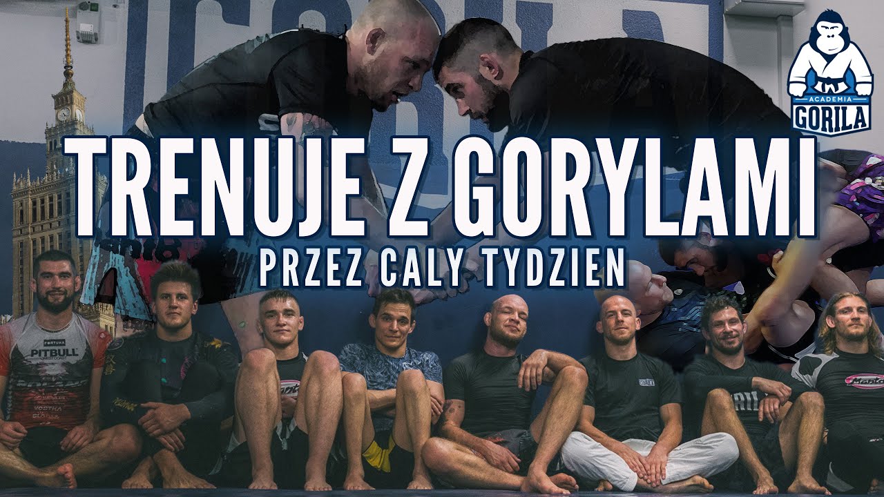 Treningi BJJ w Warszawie | ACADEMIA GORILA | Jędrek Loska & Marcin Polczyk