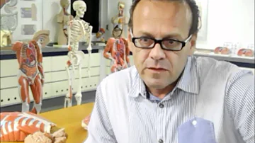 Quando procurar um imunologista?