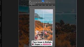 Place Image in Multiple Shapes in Indesign | #shorts