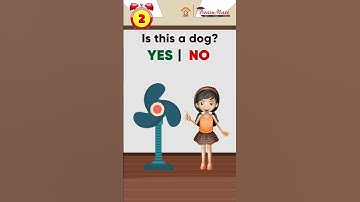 Identify the Objects | Fun Yes/No Game for Kids! #shortforkids
