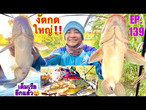 งัดปลากดใหญ่‼️ด้วยคันน้ำแข็งเ โคตรใหญ่‼️ไปหลงอยู่ไหนมา😲 🎣ตกปลากดแม่น้ำ ทำยำมะม่วงปลากดย่างน้ำพริกเผา👍😋 EP.142 งัดปลากดใหญ่‼️ด้วยคันน้ำแข็งเ โคตรใหญ่‼️ไปหลงอยู่ไหนมา😲 🎣ตกปลากดแม่น้ำ ทำยำมะม่วงปลากดย่างน้ำพริกเผา👍😋 EP.142