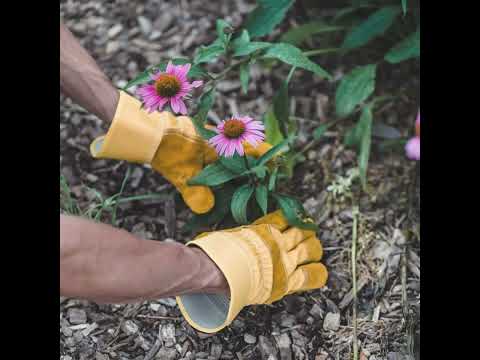 Eco Landscaping Garden