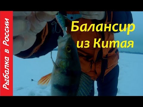 Video: How To Catch Perch On A Balancer
