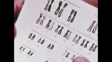 What is Aging? - Genomic Instability