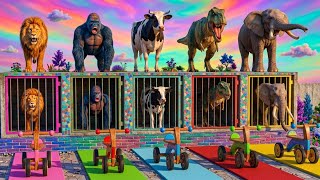 Long Slide Game with Tiger Gorilla Cow Elephant Dinosaur 3d Animal GameFunny 3d Animals