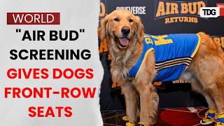 Air Bud screening gives dogs front row seats