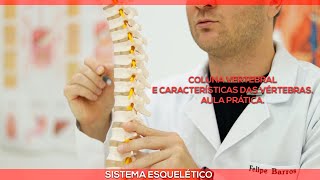 Coluna vertebral e características das vértebras: aula prática.