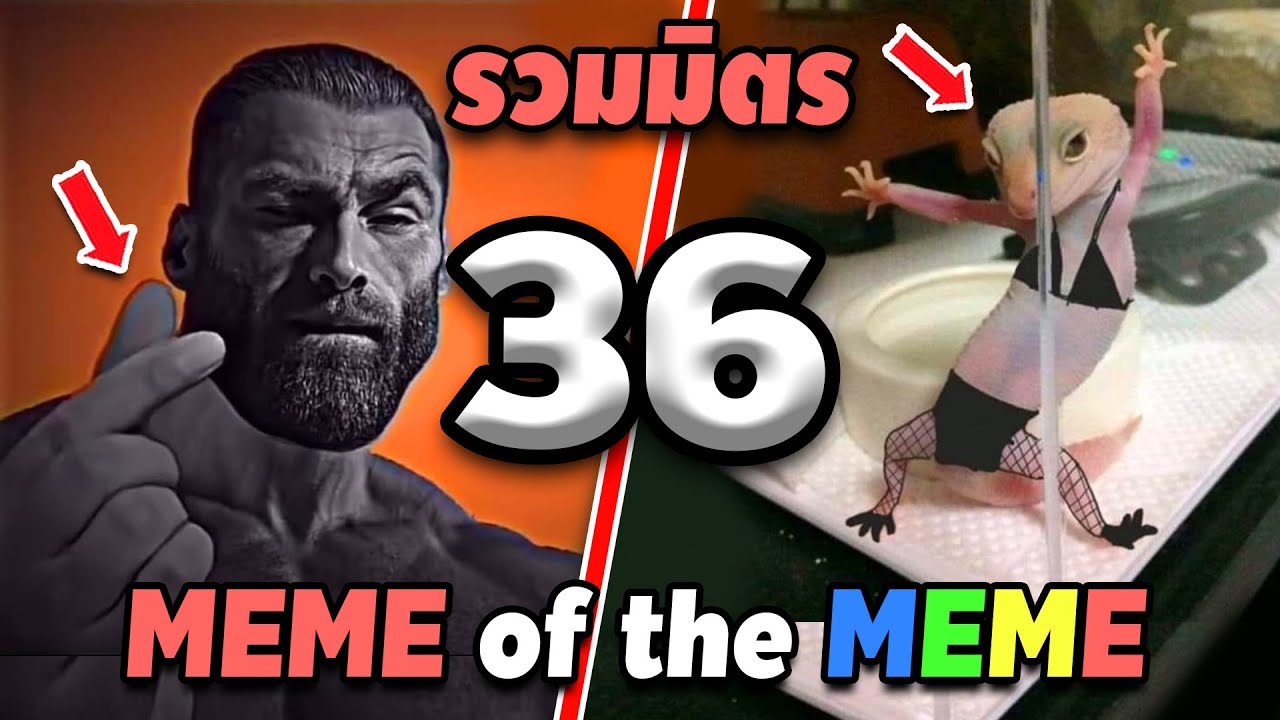 รวมมิตร ภาพนี้ก็ฮาเหมือนกันนะเนี้ย #36 [ พากย์นรก MEME.EXE ] | easy boy