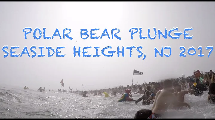 Polar Bear Plunge - Seaside Heights, NJ - 2017 Movie