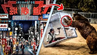 10 STRANGEST Japanese Gameshows You Wouldn't BELIEVE Exist!