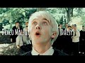 Draco Malfoy - Daisy