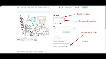 How to add custom studio fields on Odoo ecommerce product page