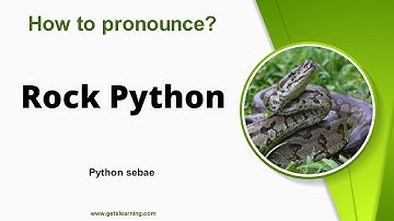How to pronounce Rock Python in English correctly