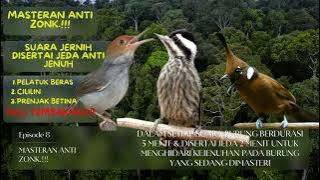 MASTERAN ANTI ZONK Part 10. FULL TEMBAKAN CILILIN, PELATUK BERAS & PRENJAK BETINA