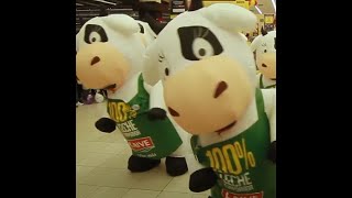 100% LECHE, 100% VACA - PROYECTO