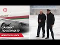 Лукашенко улетел в ОАЭ | Саммит по климату | Рейд израильской армии | Новости 29 ноября