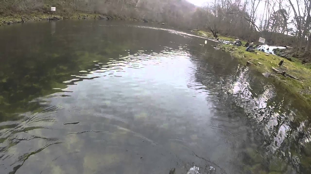 Fly Fishing at the Little Red River YouTube