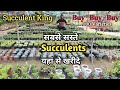सबसे सस्ते Succulents यहां से खरीदे | BEST & CHEAP Rate Succulents in India | Wholesale Rate