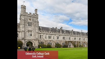 Testimonial Kritika Motwani Fall 2024 MS Business Analytics