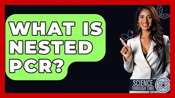 What Is Nested PCR? - Science Through Time