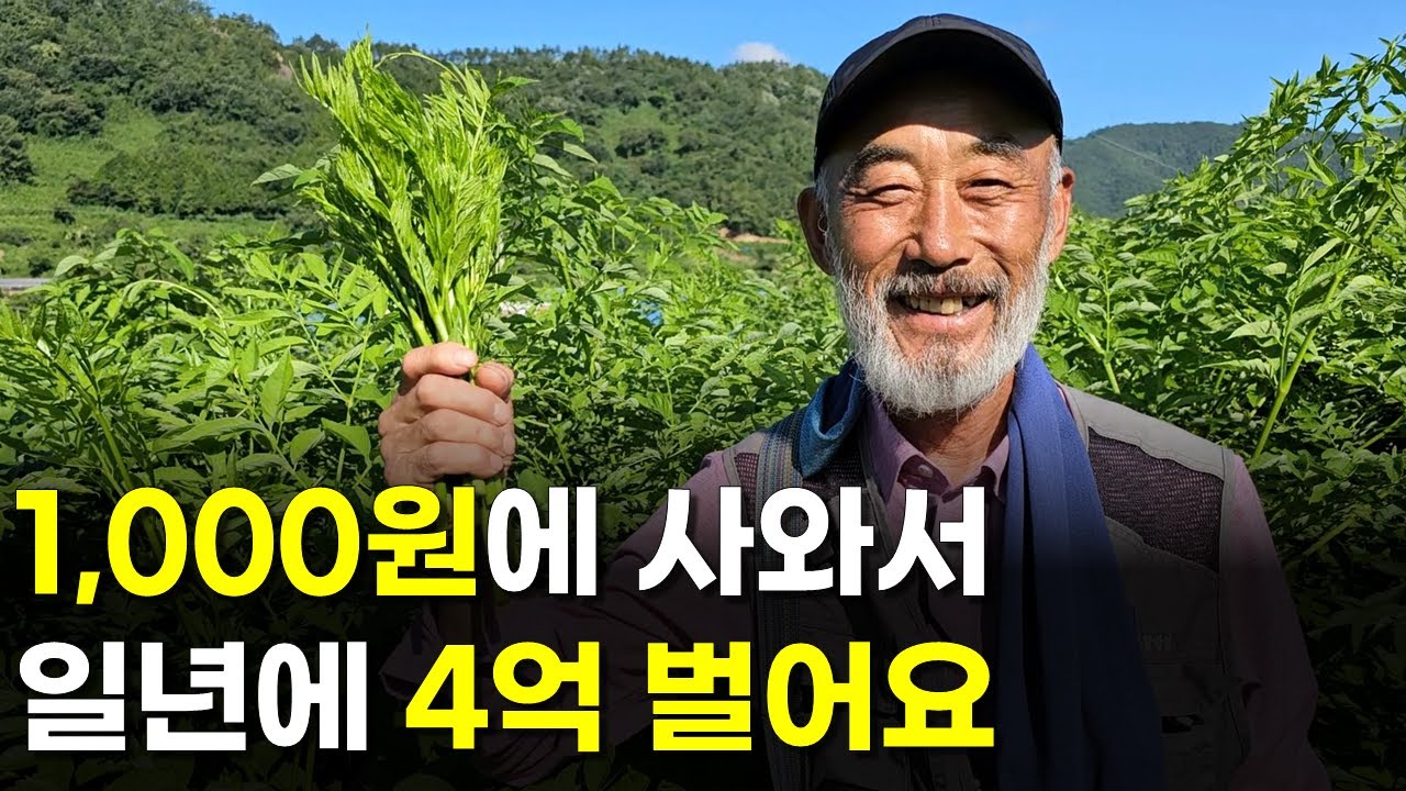 1,000원에 사와서 일년에 4억 버는 60대 | 인간극장 | 다큐멘터리 | 휴먼스토리 | 직업의모든것 | 둥지농원 | 여름두릅 | 땅두릅 | 카멜레온두릅