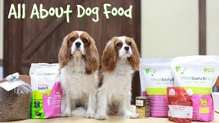 WHICH FOOD SHOULD I FEED MY DOG? | Dog Nutrition