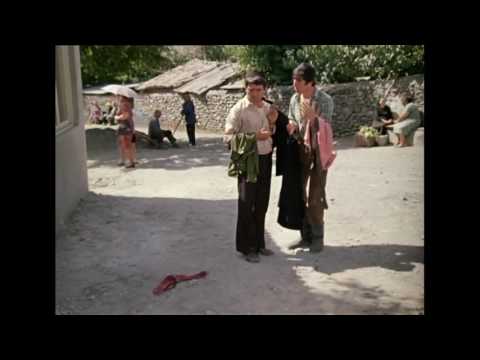 სიყვარული ყველას უნდა