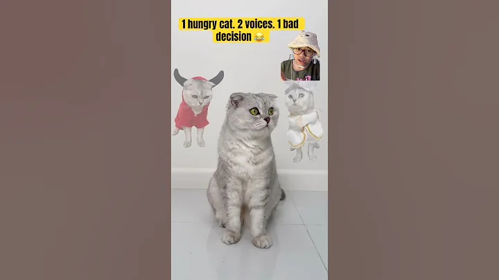 A cat’s ultimate battle: snacks vs self-control 😭😂 #shorts #cat #food #funny