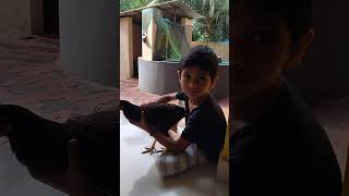 കിളിയെ കിളിയേ #new #cute #love #baby #pets #viral #viralvideo #shorts #funny #trending #smile #happy