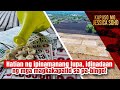 Hatian ng ipinamanang lupa idinadaan ng mga magkakapatid sa pabingo  kapuso mo jessica soho