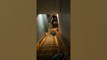 Child Falls Down Stairs Cries 