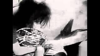 Dinosaur Jr - Little Fury Things