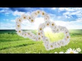 ФУТАЖ Два сердца из ромашек - Footage Two hearts of daisies