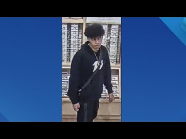 Thieves Steal 6k In Sunglasses From Mn Store Nypd